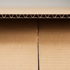 caja de cartón es una opción profesional y económica para sus envíos 03908